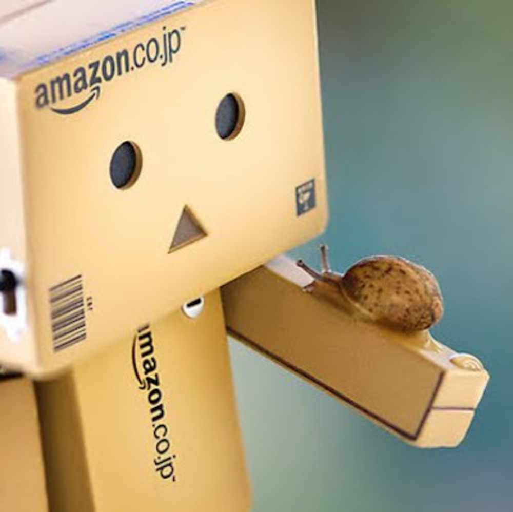 Meet your Posher, Lily